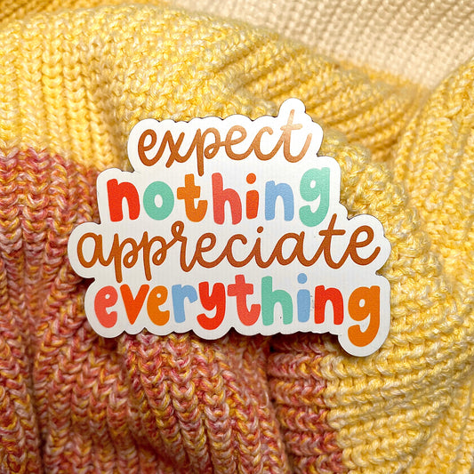 Expect nothing Sticker